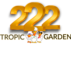 tropic222-logo